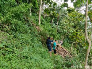 Tebing 50 Meter Longsor Timpa Warga Kulon Progo, 1 Tewas