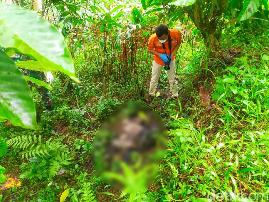 Gempar Mayat Tanpa Kepala di Blitar, Ternyata Pemerkosa Anak
