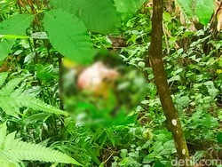 Mayat Pria Tanpa Kepala di Blitar Diduga Korban Gantung Diri