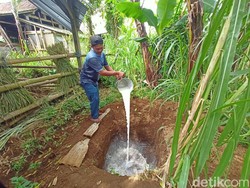 200 Liter Susu Dibuang Per Hari Gegara Sapi Perah di Ponorogo Suspek PMK