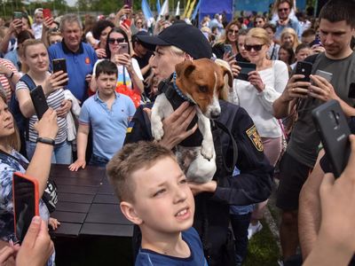 Bak Selebriti, Anjing Pelacak Ini Ramai Diajak Foto Bersama di Ukraina