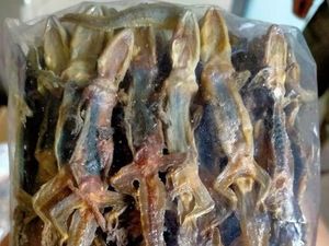 330 Kg Cicak Kering Asal Padang Diekspor ke Hong Kong