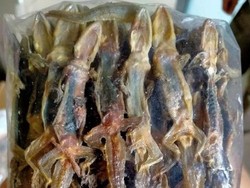 Ekspor Kedua Cicak Kering dari Sumbar ke Hong Kong Sebanyak 670 Kg