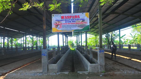 Pasar Hewan di Pati Jadi Lengang Gegara Wabah PMK, Begini Situasinya