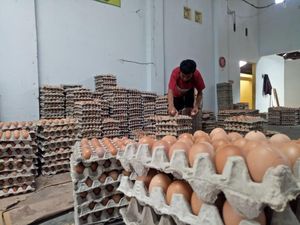 Pabrik Makanan Kolab dengan Petani dan Peternak, Begini Jadinya