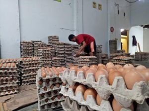 Harga Telur Naik, Peternak Ayam Blitar Sebut Bisa Tutupi Kerugian 15 Persen Harga Telur Naik, Peternak Ayam Blitar Sebut Bisa Tutupi Kerugian 15 Persen