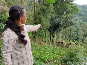 Kisah Dusun Kalikuning dan Penduduknya Hilang Terkubur Longsor dalam Sekejap