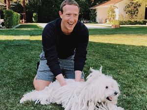 Zuckerberg Mau Hidupkan Orang Mati Lewat Metaverse Zuckerberg Mau Hidupkan Orang Mati Lewat Metaverse