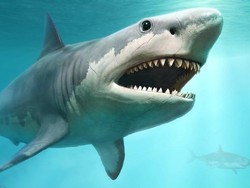 Ngeri! Megalodon Tertangkap Citra Satelit, Bukti Hiu Monster Masih Ada