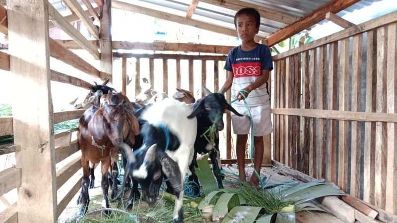 Senangnya Muhammad Bocah NTB Dapat Bantuan Kambing untuk Beternak