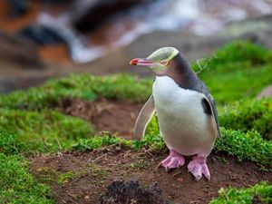 Para Pasien Eksklusif di Pusat Rehab Ini Bukanlah Manusia Para Pasien Eksklusif di Pusat Rehab Ini Bukanlah Manusia