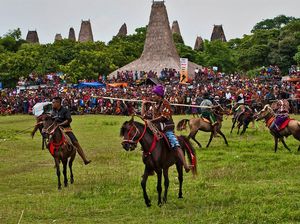 5 Budaya Khas Daerah NTT, Ada Tradisi Lempar Kerbau! 5 Budaya Khas Daerah NTT, Ada Tradisi Lempar Kerbau!