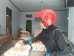 Harga Telur-Cabai Melambung di Dompu NTB, Masyarakat Mengeluh