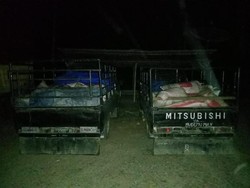 Polisi Aceh Tangkap 3 Penyelundup 4 Ton Getah Pinus Ilegal ke Medan