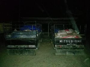 Polisi Aceh Tangkap 3 Penyelundup 4 Ton Getah Pinus Ilegal ke Medan Polisi Aceh Tangkap 3 Penyelundup 4 Ton Getah Pinus Ilegal ke Medan