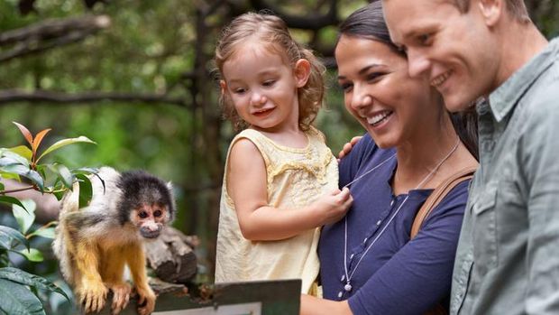 A happy family spending the day at a monkey sanctuary