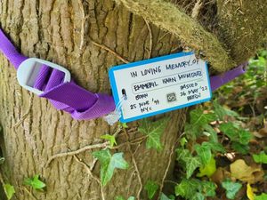 Pada Pohon di Tepi Sungai Aare, Nama Eril Disematkan