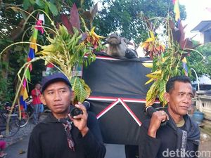 Petani Trenggalek Berebut Kepala Kerbau yang Dilarung di Dam Bagong Petani Trenggalek Berebut Kepala Kerbau yang Dilarung di Dam Bagong