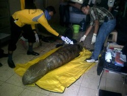 Pembunuhan Istri Simpanan di Surabaya-Mayatnya Disimpan Dalam Pipa Besi