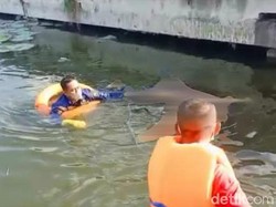 Mayat Mr X Ditemukan Mengapung di Waduk Bunder Gresik.