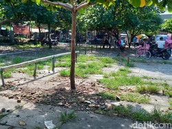 Wabah PMK di Klaten Meluas, Aktivitas Belasan Blantik Diawasi