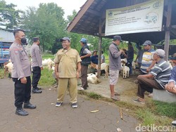 Gegara PMK, Semua Pasar Hewan di Kendal Ditutup 2 Pekan Mulai Lusa