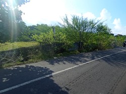 Potret Tanah Warga Diaspal Pemkot Denpasar Berujung Laporan KPK