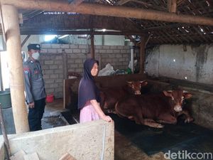 Kasus PMK di Magetan Terus Bertambah Tapi Tenaga Kesehatan Terbatas Kasus PMK di Magetan Terus Bertambah Tapi Tenaga Kesehatan Terbatas