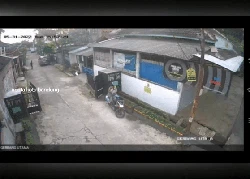 Viral Sejoli Bandung Dikejar Anjing Saat Curi 2 Kucing Persia