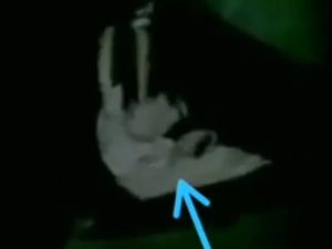 Viral Video Kuntilanak Muncul di Jaktim, Begini Faktanya