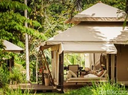 Rekomendasi 3 Surf Camp di Pantai Plengkung Alas Purwo Banyuwangi