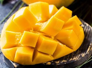 5 Tips Agar Mangga Tetap Segar dan Tak Kecokelatan Usai Dipotong 5 Tips Agar Mangga Tetap Segar dan Tak Kecokelatan Usai Dipotong