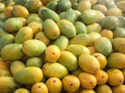 Debat Warganet soal Bule Beli Mangga Rp 15 Ribu di Bali, Wajar Nggak Sih?