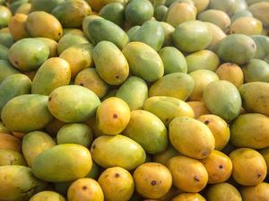 Debat Warganet soal Bule Beli Mangga Rp 15 Ribu di Bali, Wajar Nggak Sih? Debat Warganet soal Bule Beli Mangga Rp 15 Ribu di Bali, Wajar Nggak Sih?