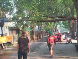 Pohon Tumbang Timpa Warung di Jatiasih Bekasi Akibat Hujan Deras