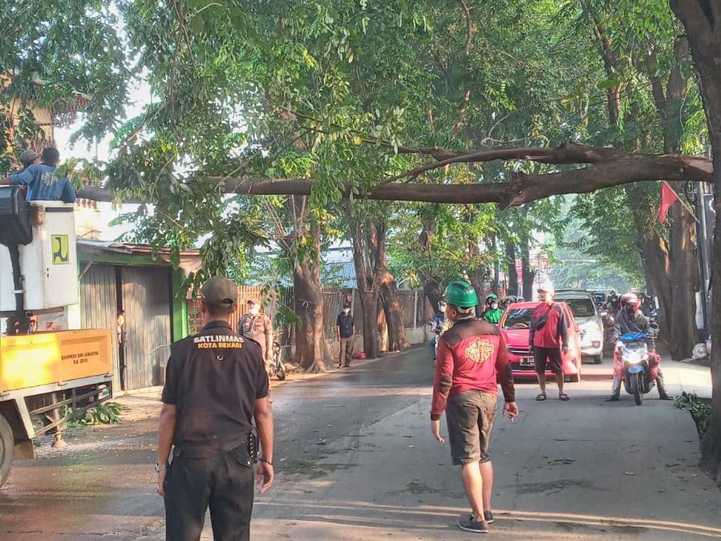 Pohon Tumbang Timpa Warung di Jatiasih Bekasi Akibat Hujan Deras Pohon Tumbang Timpa Warung di Jatiasih Bekasi Akibat Hujan Deras