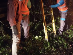 Pohon Tumbang, Listrik di Desa Petang Badung Mati Total