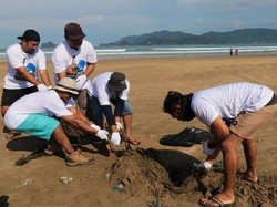 Banyuwangi Gelar Beach Clean Up di Pulau Merah Peringati Hari Lingkungan Hidup