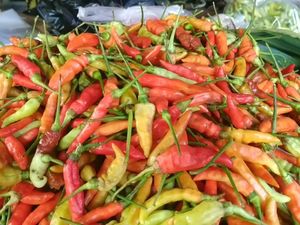 Stok Menipis, Harga Cabai Rawit di Medan Tembus Rp 40 Ribu/Kg