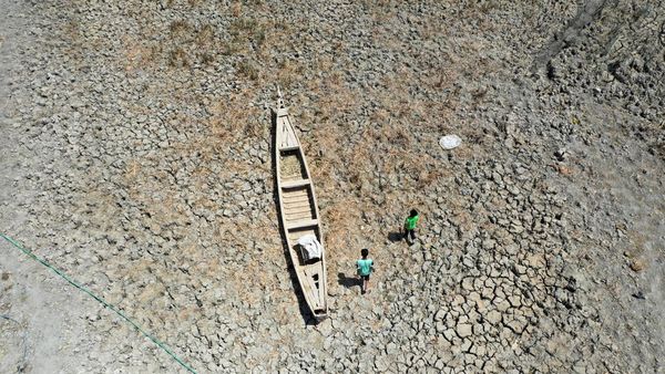 Gawat! Debit Air Rawa Chebayesh Irak Menyusut