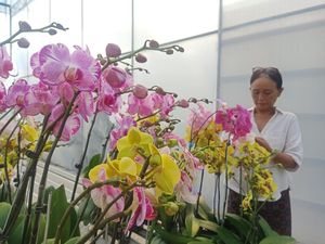 Wisata Sambil Belajar di Taman Bunga Anggrek Denpasar