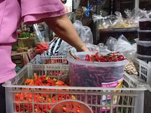 Harga Cabai Rawit di Tabanan Tembus Rp100 Ribu Per Kilogram Harga Cabai Rawit di Tabanan Tembus Rp100 Ribu Per Kilogram
