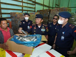 KKP Temukan Ribuan Kilogram Produk Ikan Impor Ilegal di Batam