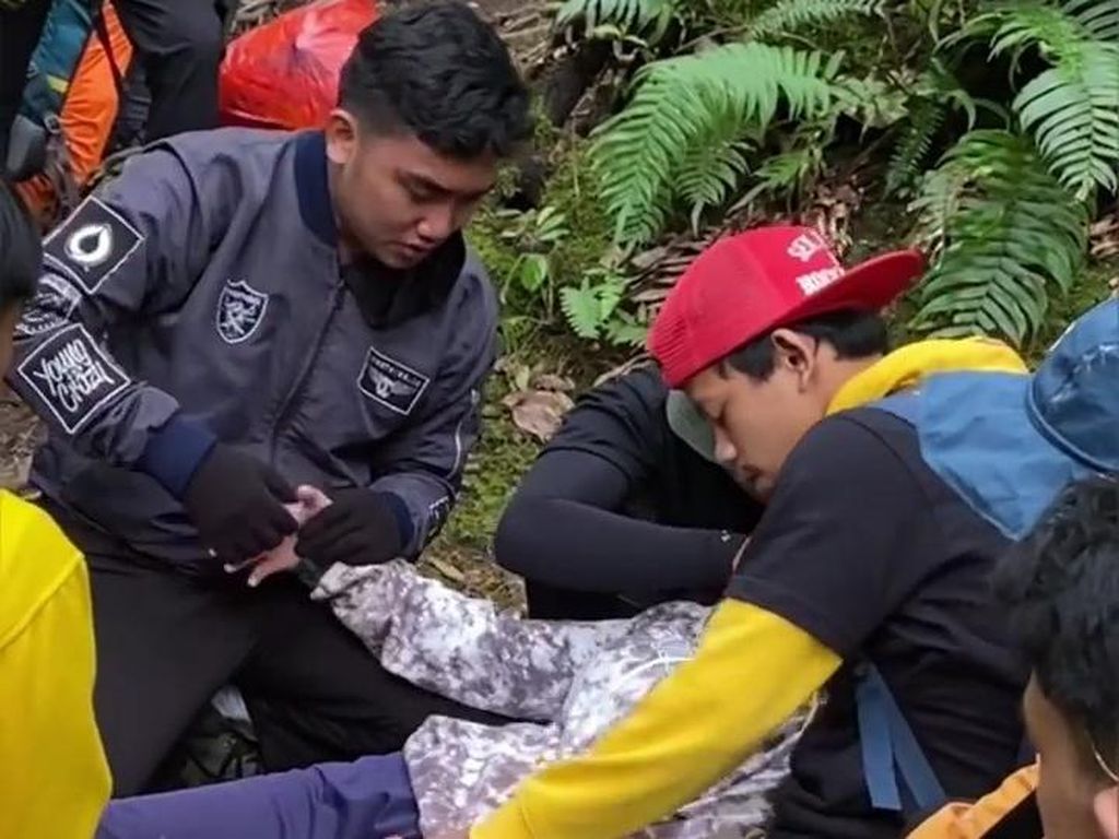 Viral Pendaki Disebut Kesurupan di Gunung Gede Pangrango
