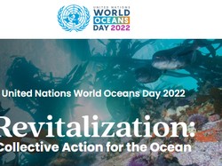 Sejarah Hari Laut Sedunia: Diperingati 8 Juni, Dirayakan oleh PBB