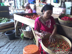 Warga Lumajang Keluhkan Harga Cabai Kian Pedas hingga Rp 100 Ribu/Kg