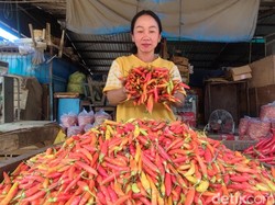 Harga Cabai di Sidoarjo Meroket, Penjual Ceker Lapindo Menjerit