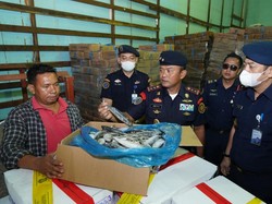 4,7 Ton Ikan Ilegal dari China dan Malaysia Masuk RI, Langsung Dicokok!