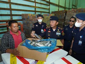 4,7 Ton Ikan Ilegal dari China dan Malaysia Masuk RI, Langsung Dicokok! 4,7 Ton Ikan Ilegal dari China dan Malaysia Masuk RI, Langsung Dicokok!