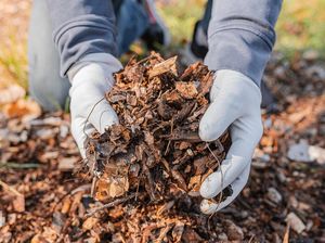 5 Cara Membuat Pupuk Kompos dengan Alat dan Bahan Sederhana, Mudah dan Cepat! 5 Cara Membuat Pupuk Kompos dengan Alat dan Bahan Sederhana, Mudah dan Cepat!